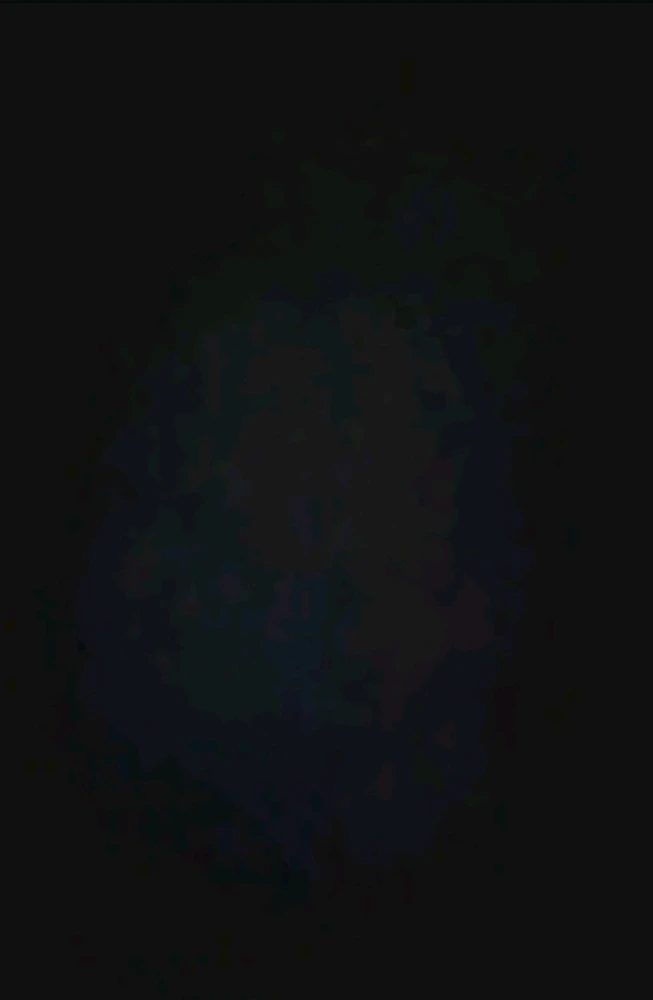 Image uploaded by Ever B