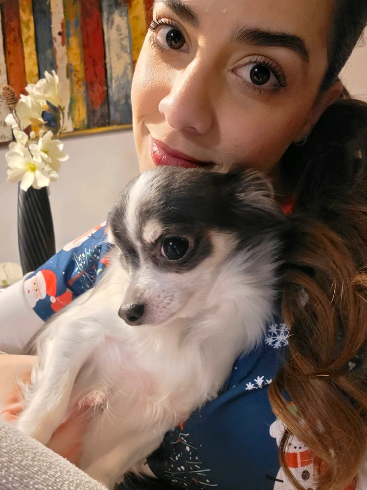 GIF uploaded by Juliana