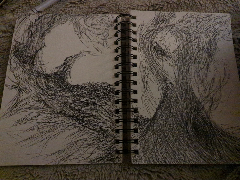 Image uploaded by Josef