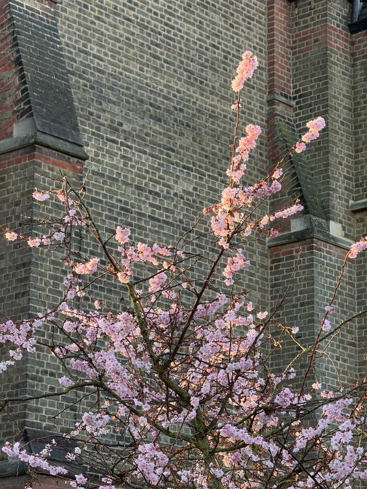 GIF uploaded by Veera