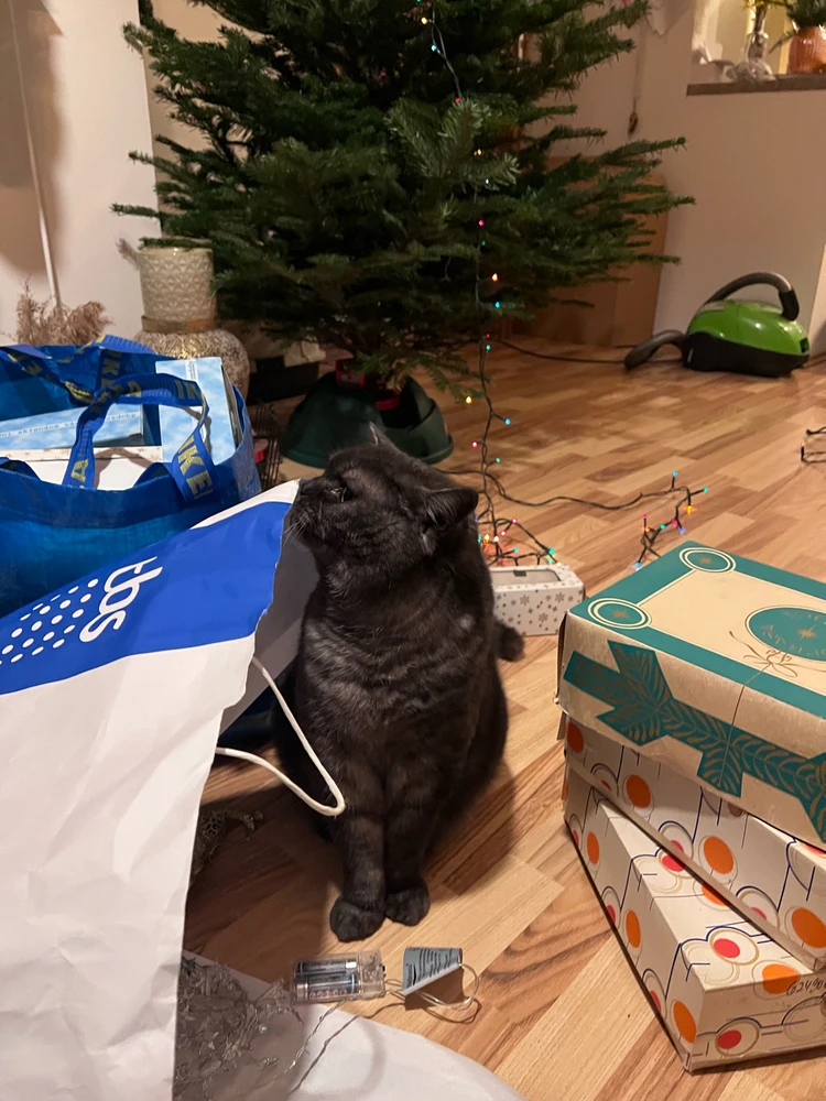 Obrázek nahrál mira