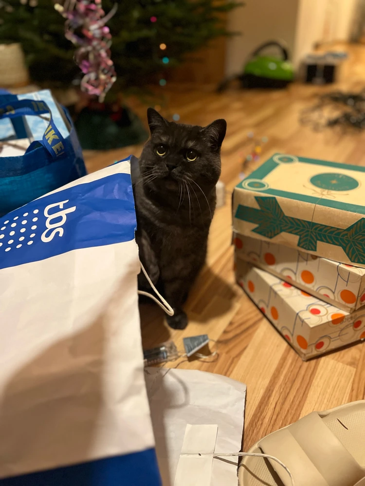 Obrázek nahrál mira