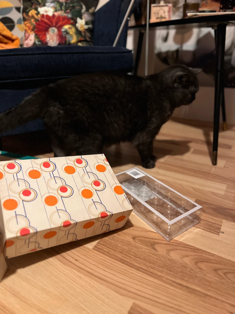 Obrázek nahrál mira