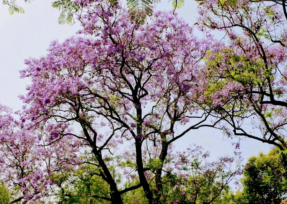 GIF subido por Francisco