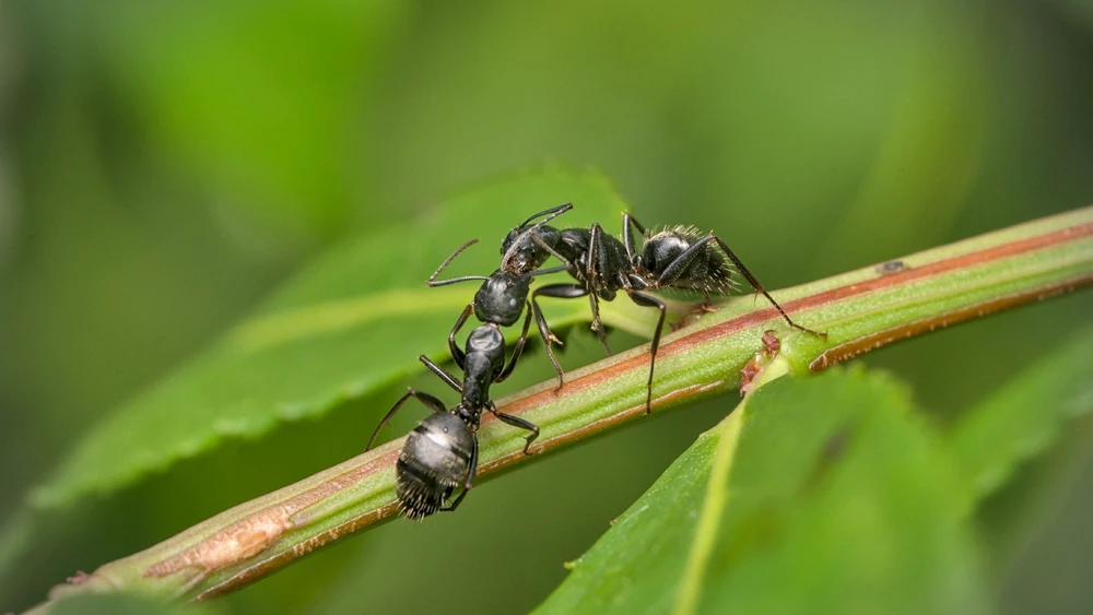 GIF uploaded by Logan