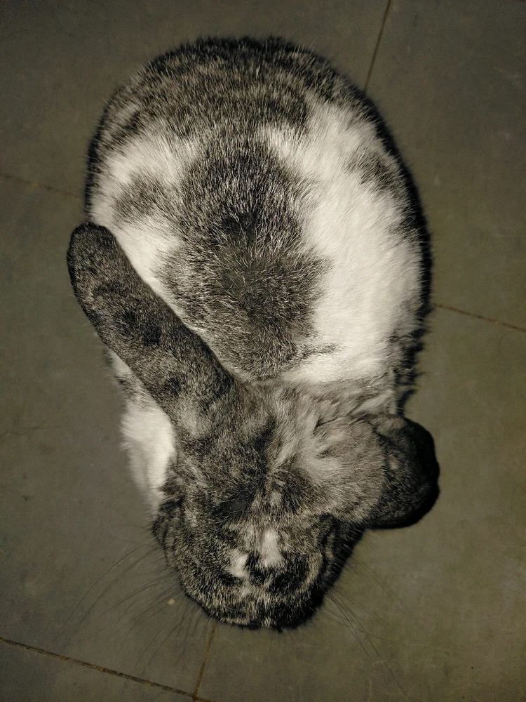GIF uploaded by Ro