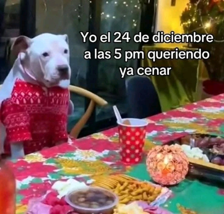 GIF subido por Alexander