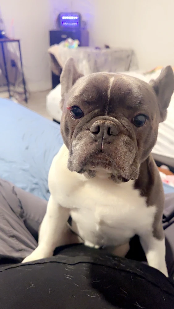 GIF uploaded by Jessica