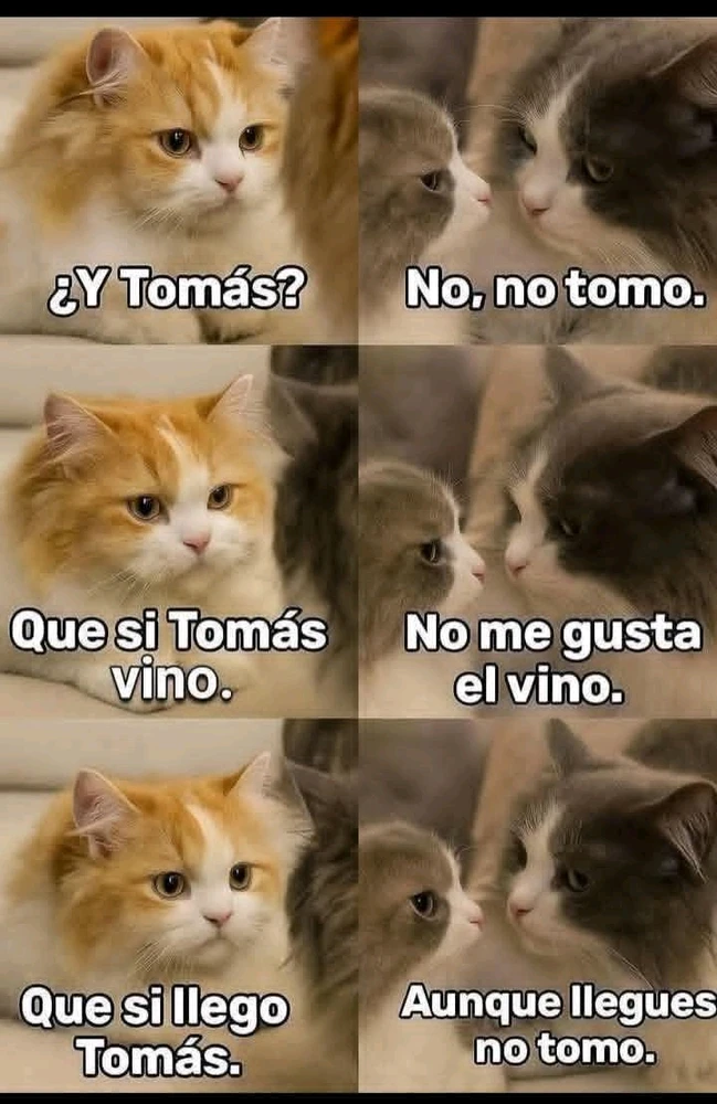 GIF subido por Bruce