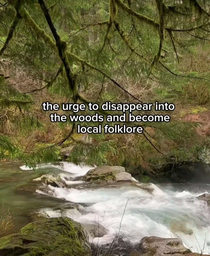 GIF uploaded by yasie