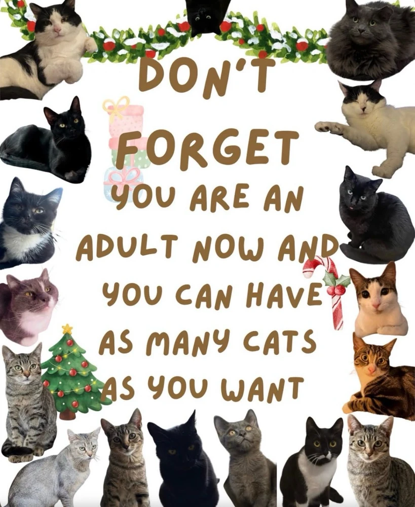 GIF uploaded by bellissima