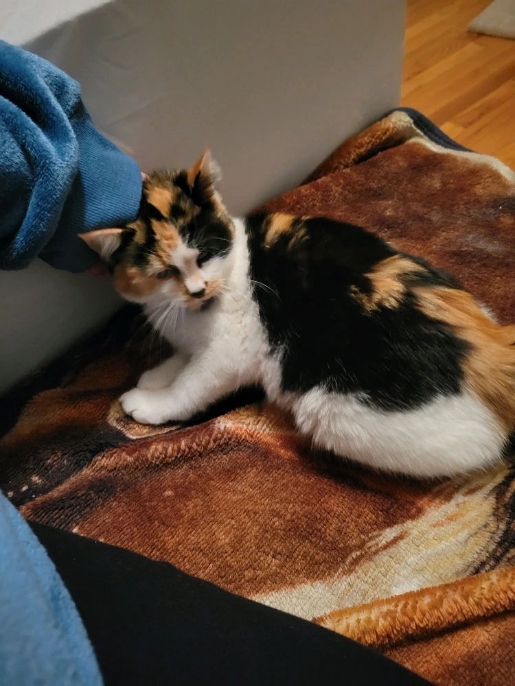 Image uploaded by Stazi