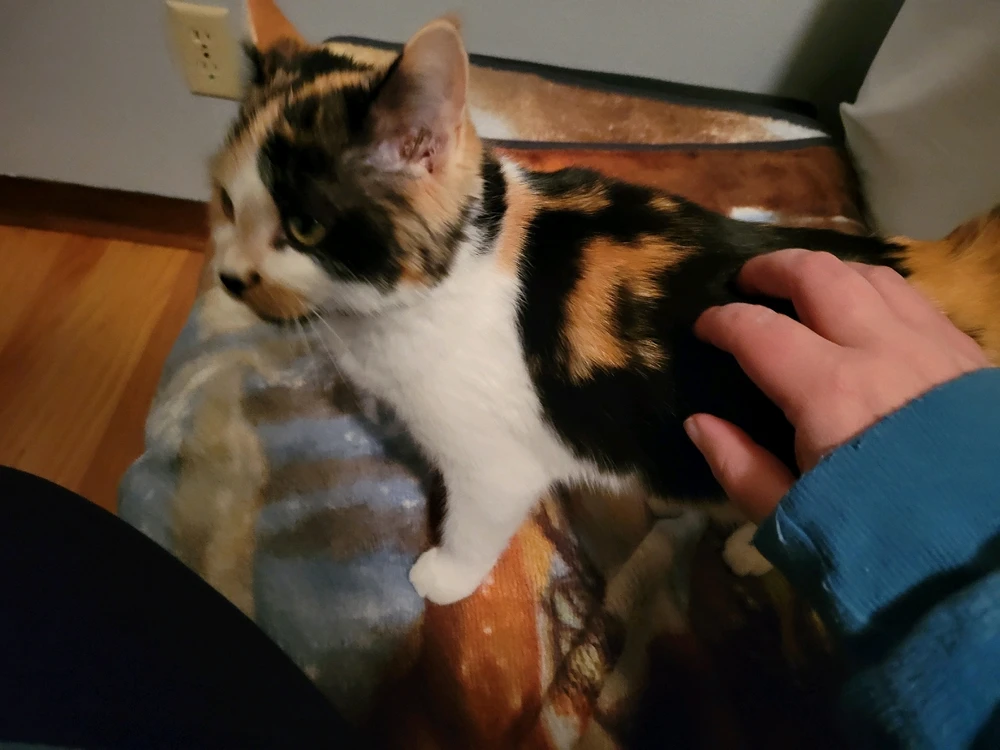 Image uploaded by Stazi