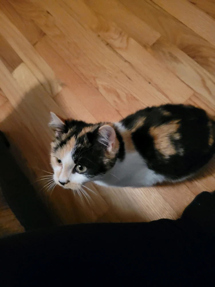 Image uploaded by Stazi