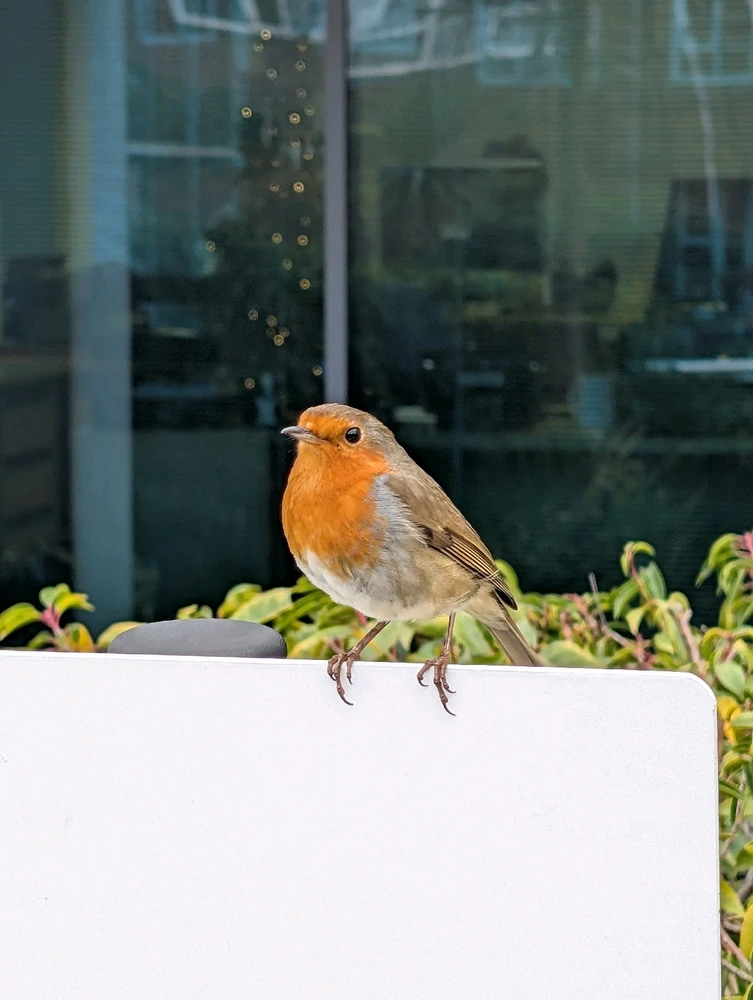 GIF uploaded by Andre Curran