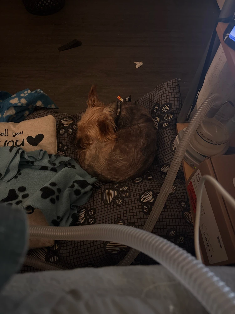 GIF uploaded by Rhys