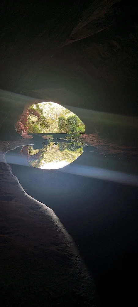 De volta a luz 🤣🤣🤣🤣