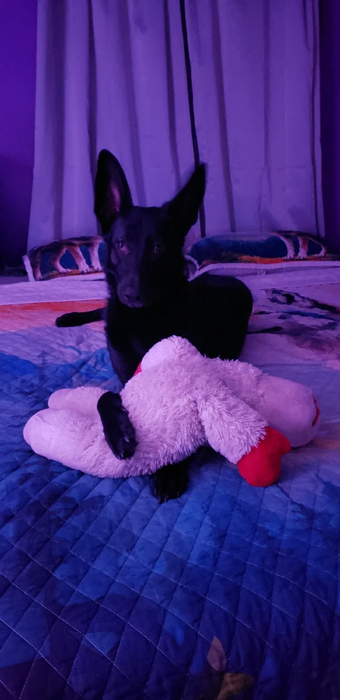 GIF uploaded by Michael B