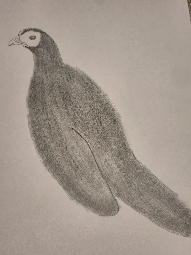 Image uploaded by Leonard Tompkins