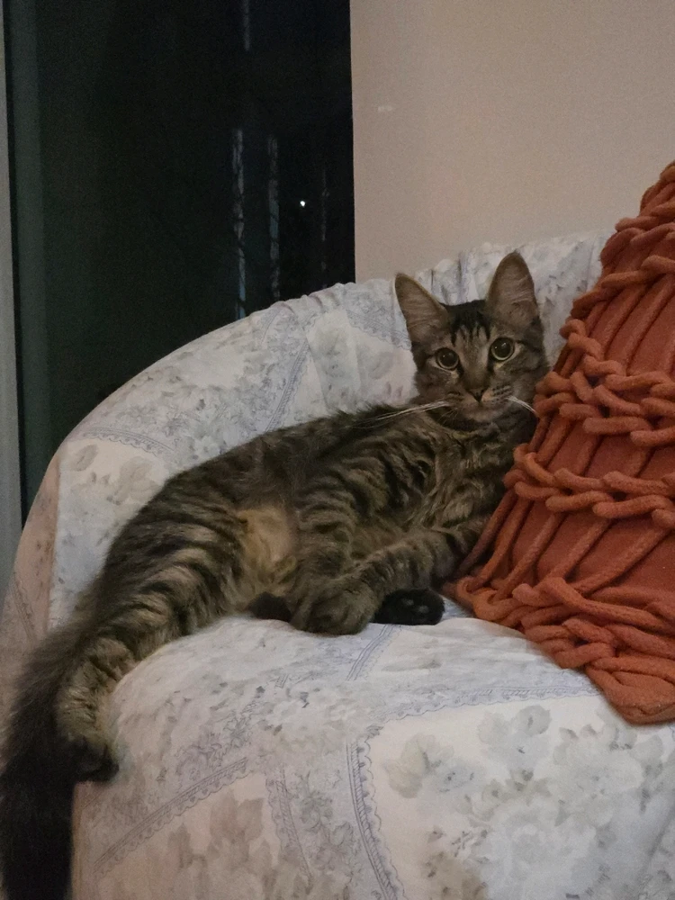 GIF enviado por Bibi