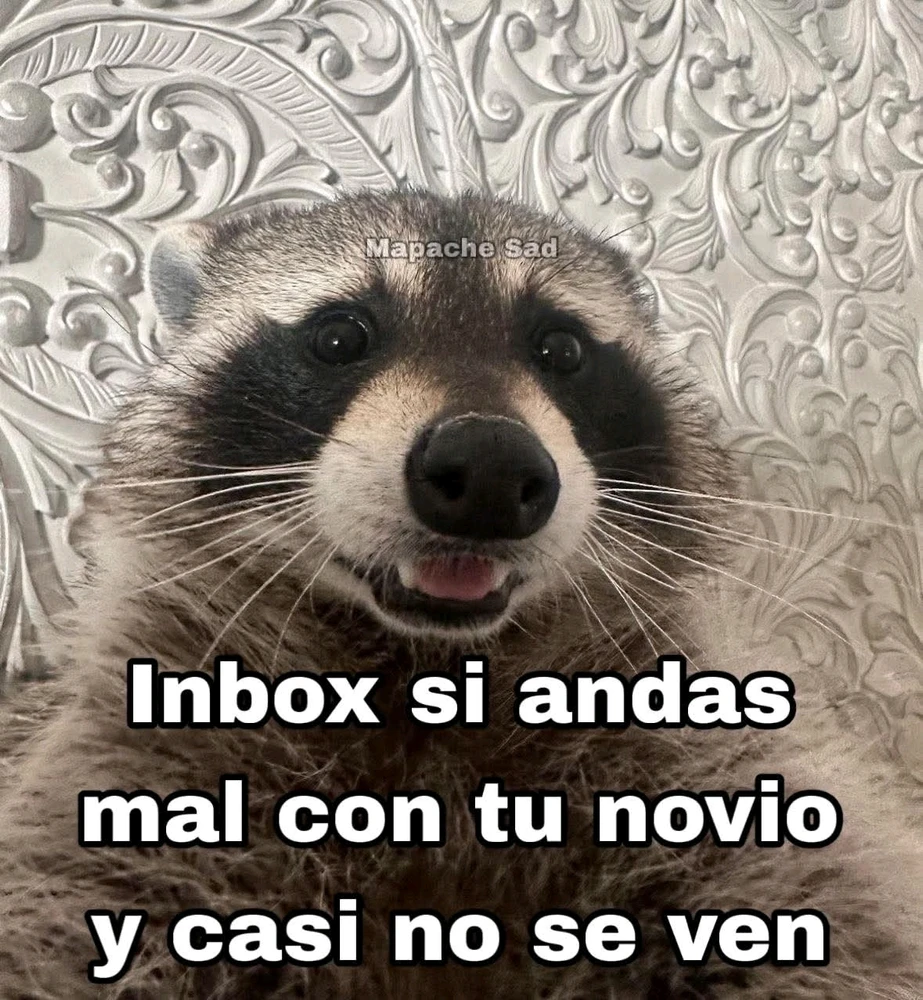 GIF subido por Fernando