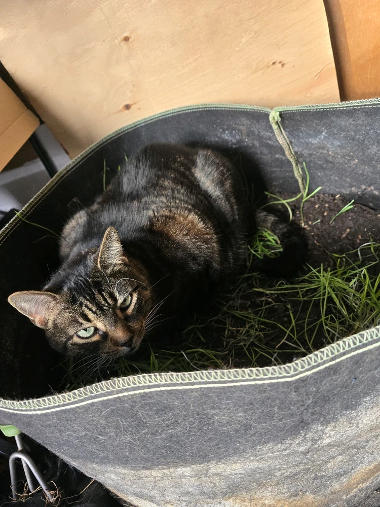 GIF uploaded by Tarik