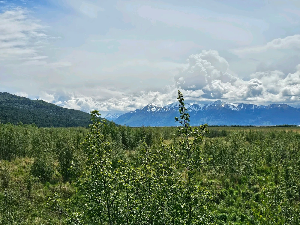 Image uploaded by Leonard Tompkins