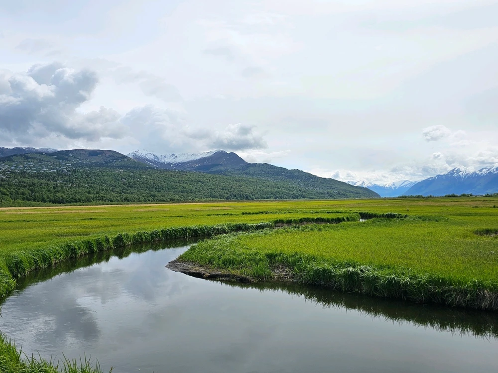 Image uploaded by Leonard Tompkins