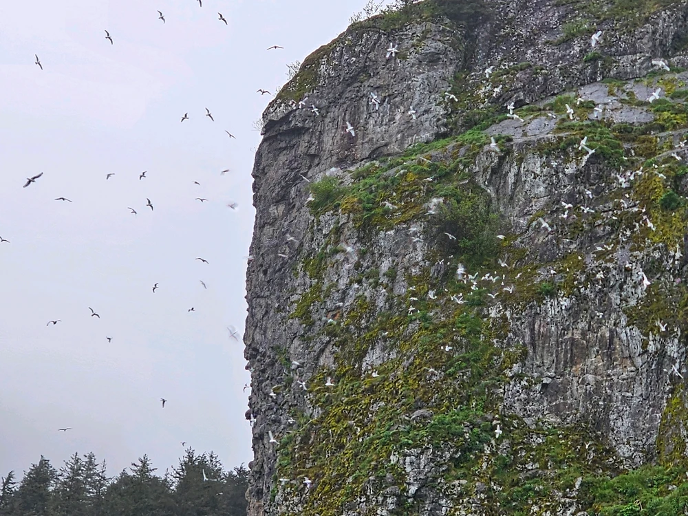 Image uploaded by Leonard Tompkins