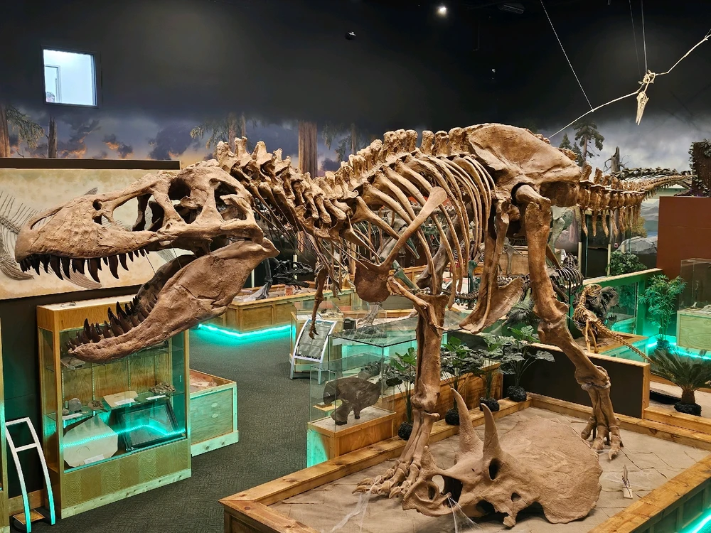 Image uploaded by Leonard Tompkins