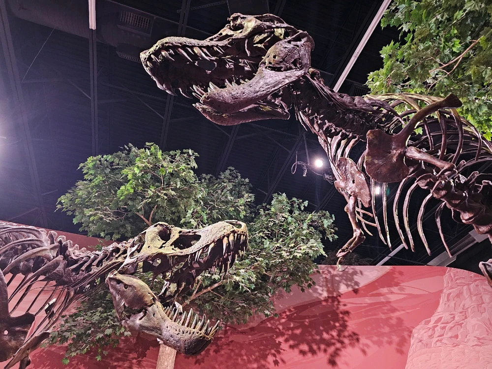 Image uploaded by Leonard Tompkins