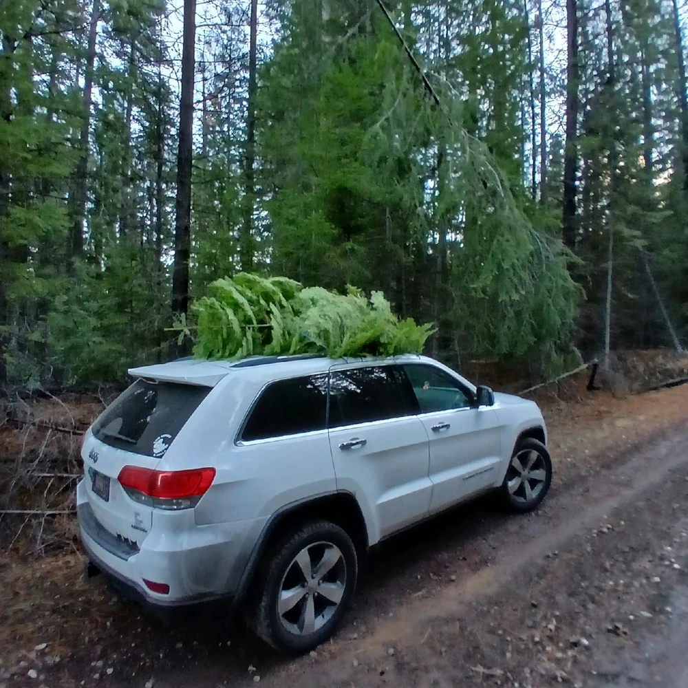 Image uploaded by Linda