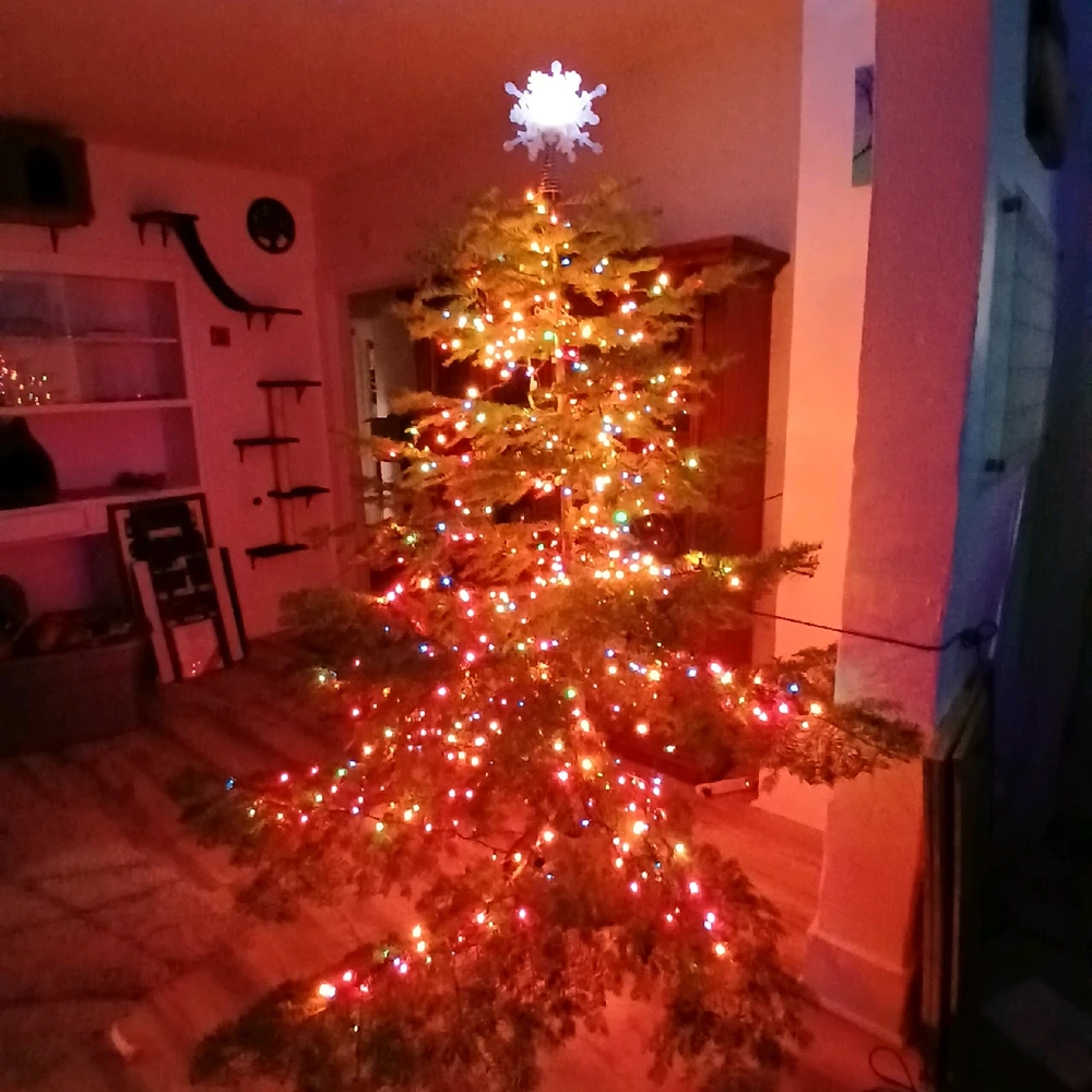 Image uploaded by Linda