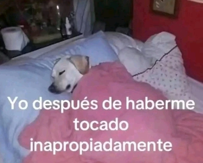 GIF subido por Daniela