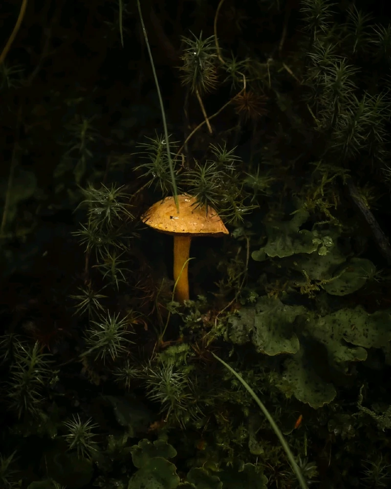 GIF uploaded by Josh