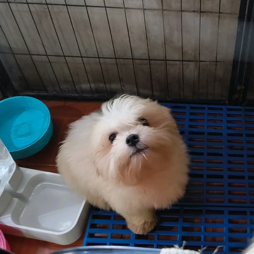 Image uploaded by Rho