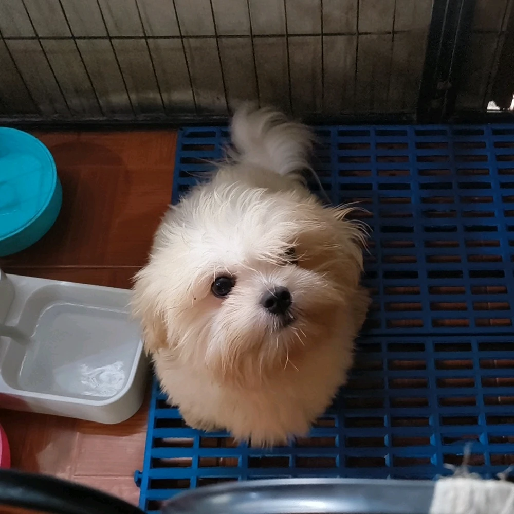 Image uploaded by Rho