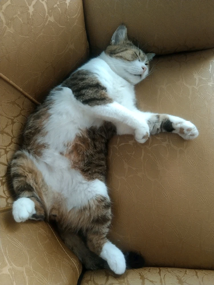 GIF uploaded by Yulia