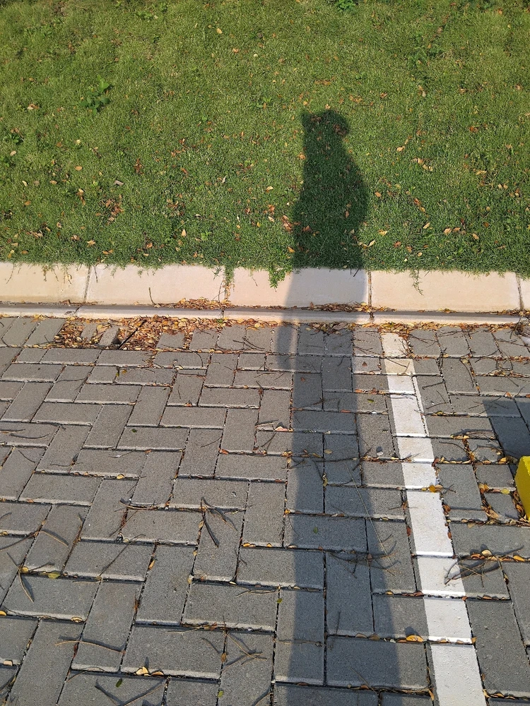 GIF uploaded by Decy