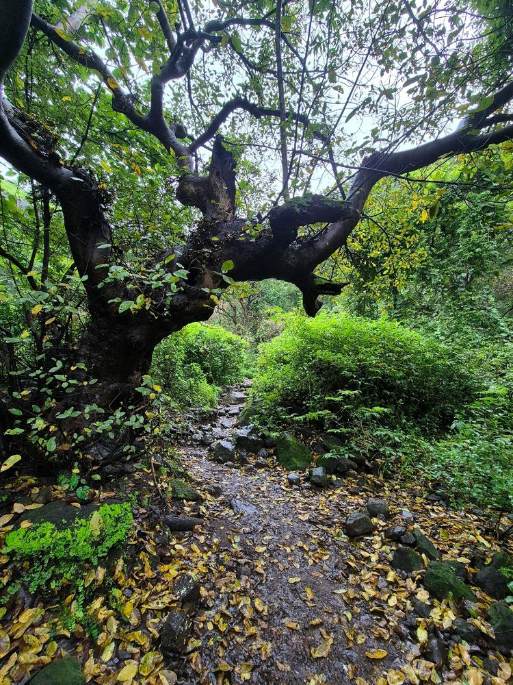 Image uploaded by Aditya