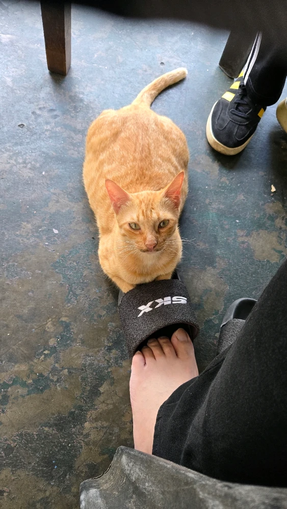 GIF uploaded by Aron