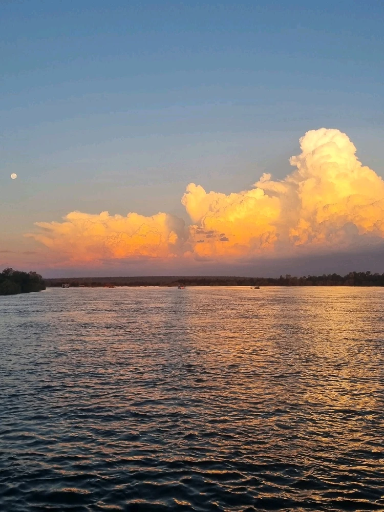 Image uploaded by Chris