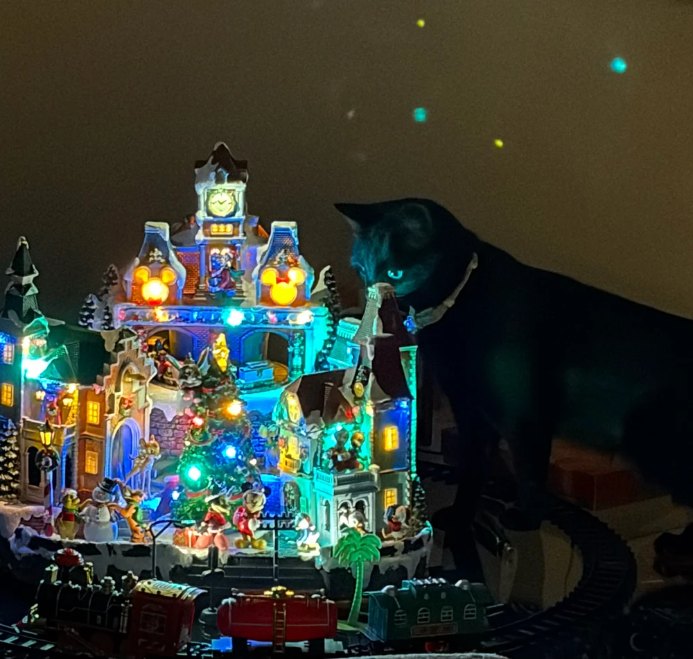 GIF uploaded by Ashley