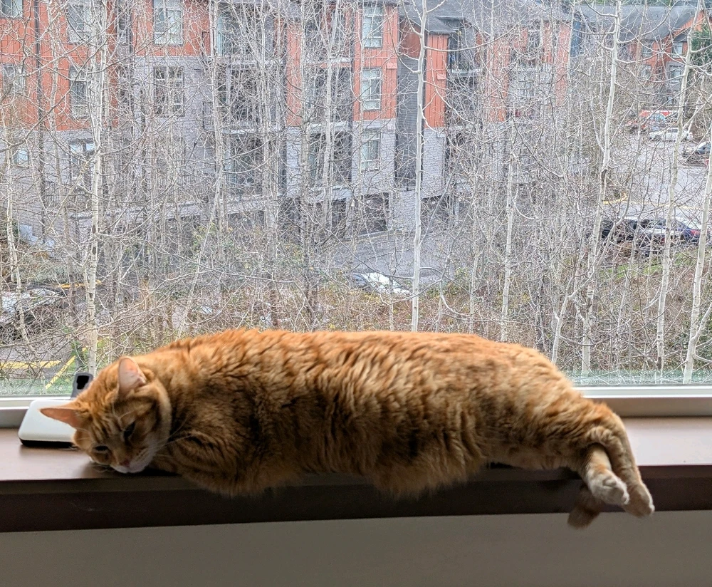 GIF uploaded by MelanatedKenshiro