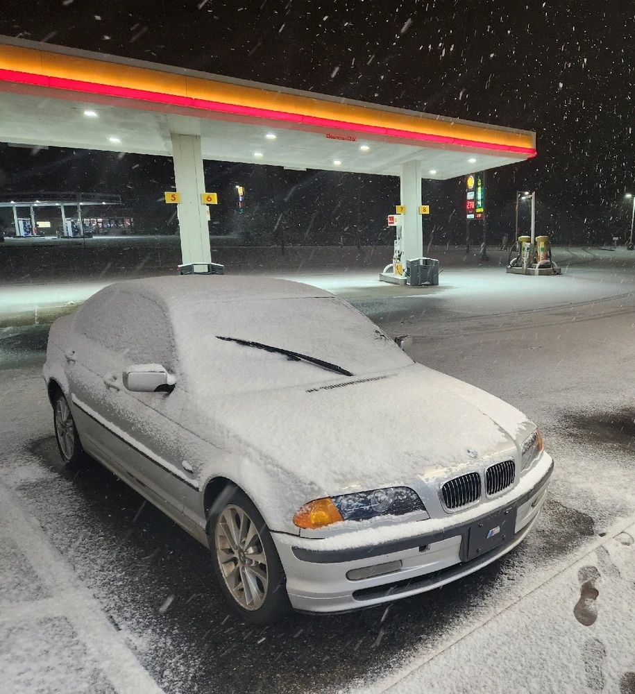 Image uploaded by Kushy