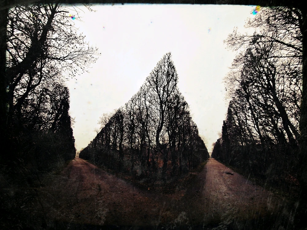 GIF hochgeladen von ⚞⎈ мσяηıηgsтαя ⎈⚟