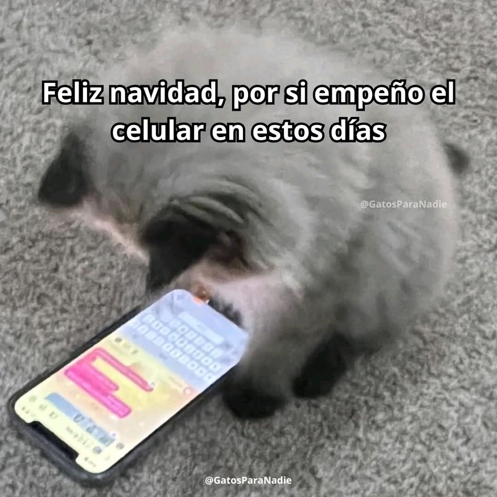 GIF subido por Abejita Brillante