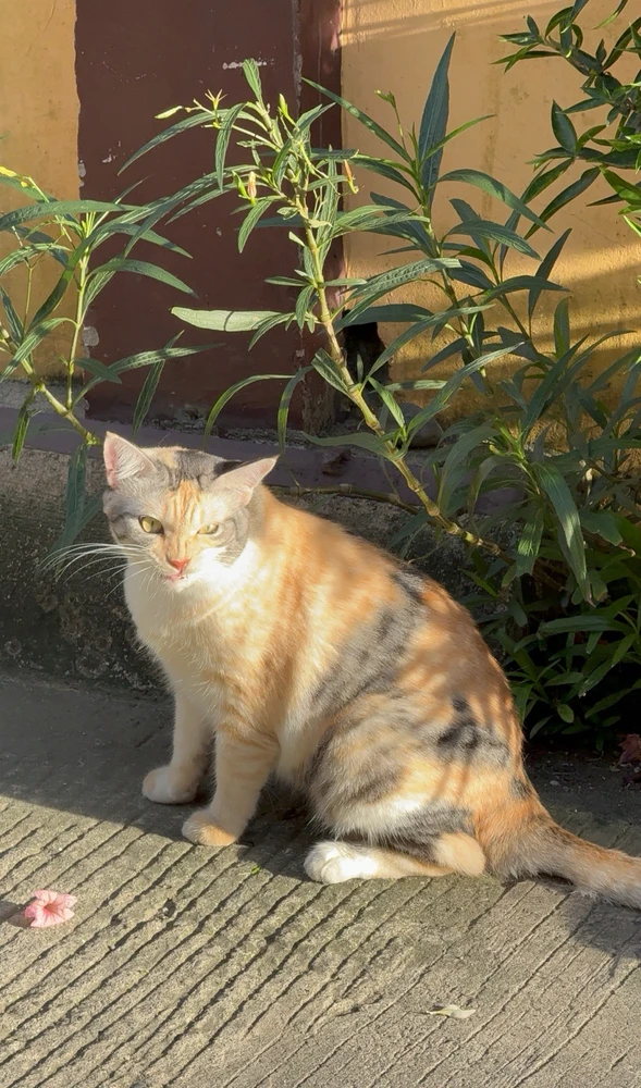 GIF uploaded by Claudia