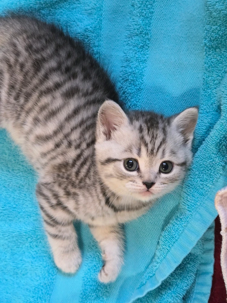 Bild hochgeladen von Luise