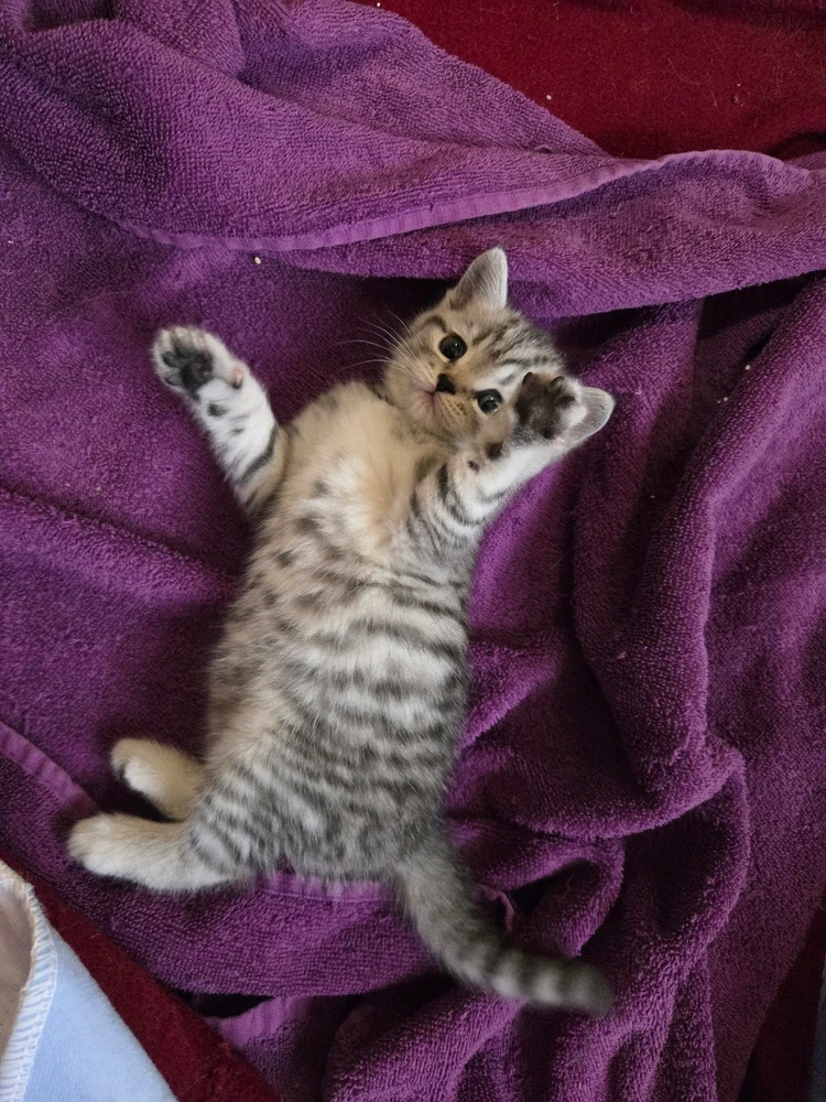 Bild hochgeladen von Luise